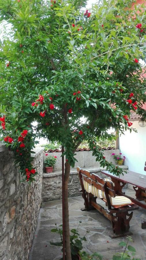 Regina'S Guesthouse Μπαλτσίκ Εξωτερικό φωτογραφία